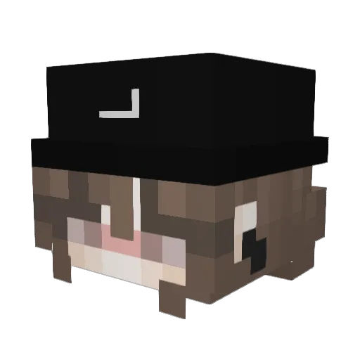 aniaa_18 Minecraft avatar head, 3D render