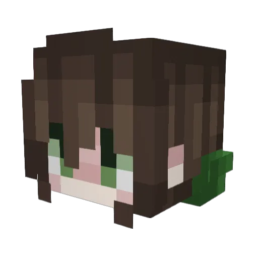 aniait Minecraft avatar head, 3D render