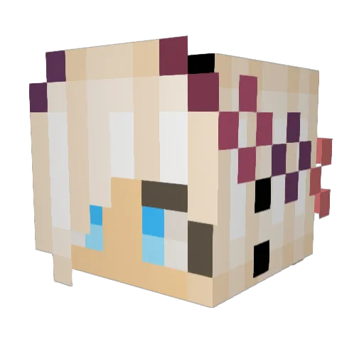 aniapajak5 Minecraft avatar head, 3D render