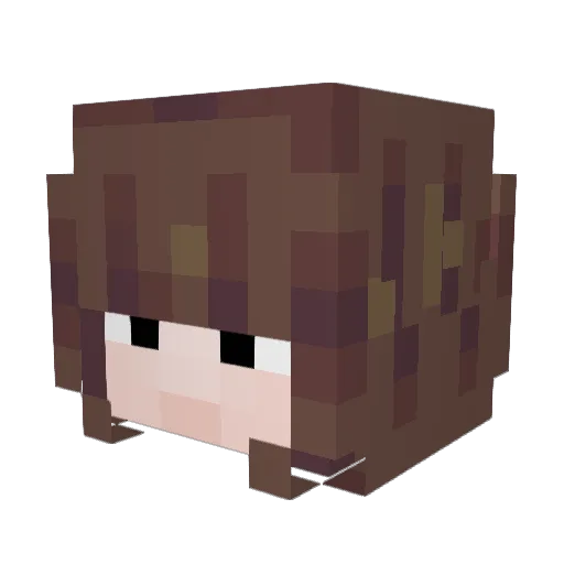 anibanhani Minecraft avatar head, 3D render