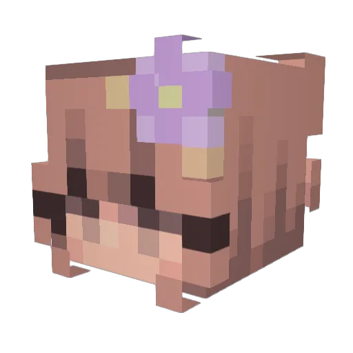aniellam Minecraft avatar head, 3D render