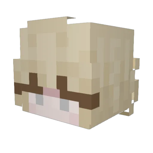 anikaka Minecraft avatar head, 3D render