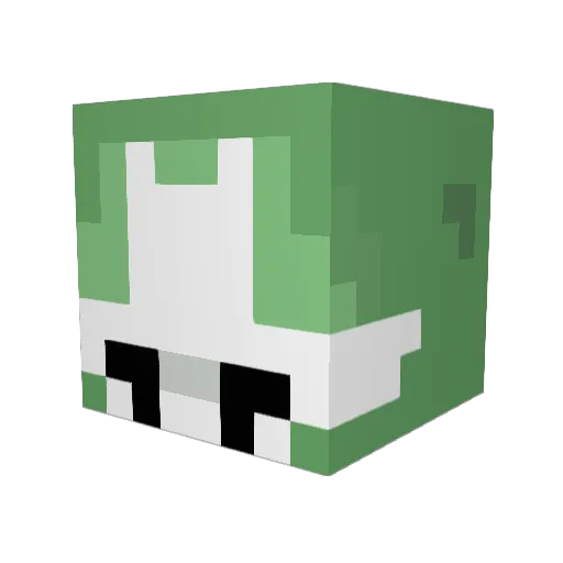anil8em2 Minecraft avatar head, 3D render