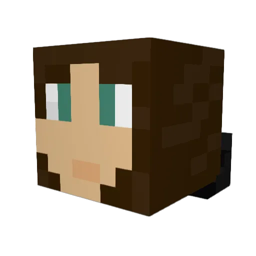 animal_lover45 Minecraft avatar head, 3D render