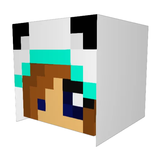 animallover247 Minecraft avatar head, 3D render