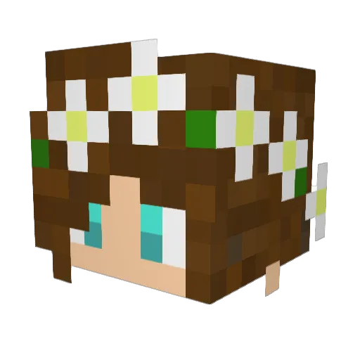 animallover4life Minecraft avatar head, 3D render