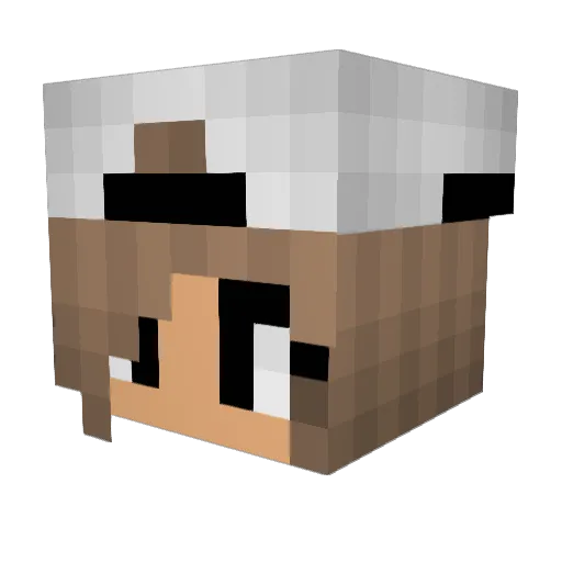 animallover600 Minecraft avatar head, 3D render