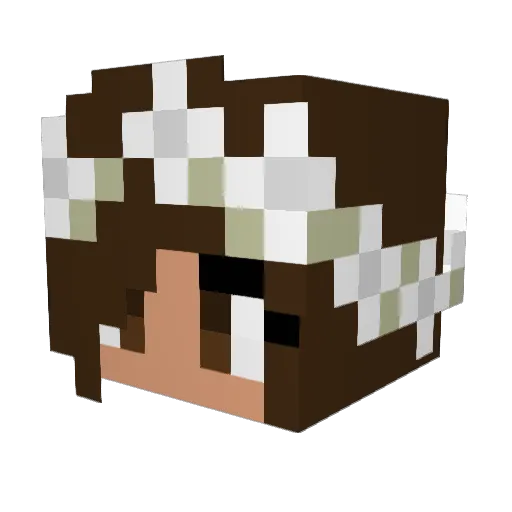 animallover7206 Minecraft avatar head, 3D render