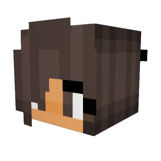 animallover787 Minecraft avatar head, 3D render