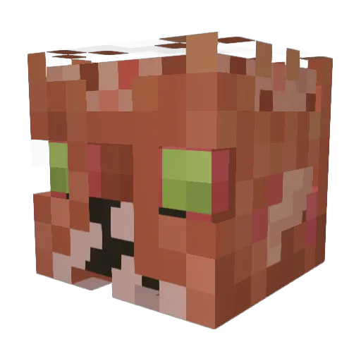 animalsfan2004 Minecraft avatar head, 3D render