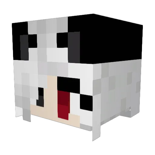 animequeen815 Minecraft avatar head, 3D render