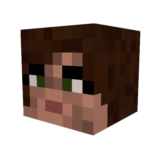 anin48 Minecraft avatar head, 3D render