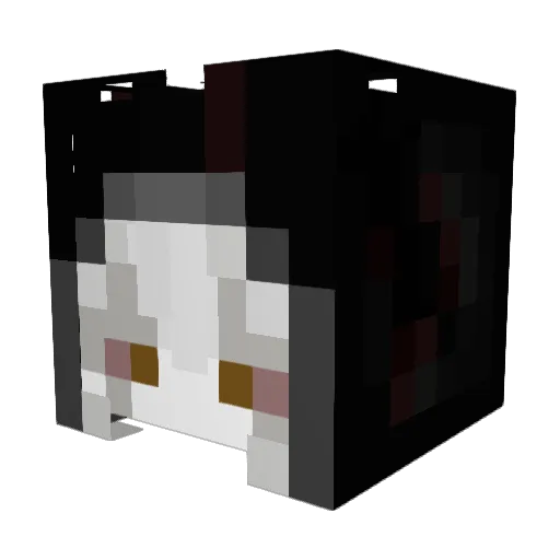 anioolek_ Minecraft avatar head, 3D render