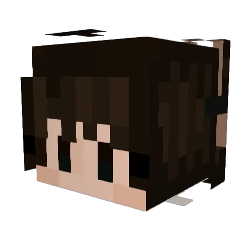 anip Minecraft avatar head, 3D render