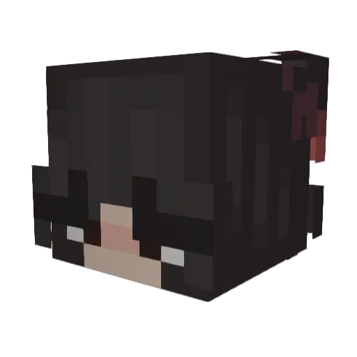 anireiscrafting Minecraft avatar head, 3D render