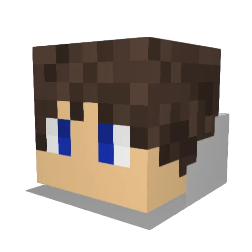 anisheragon Minecraft avatar head, 3D render