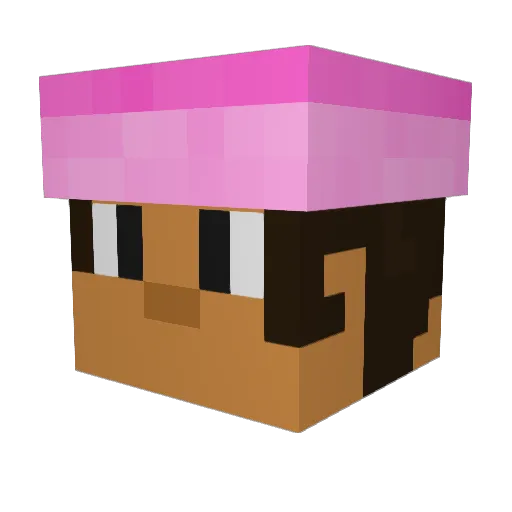 anitazara Minecraft avatar head, 3D render