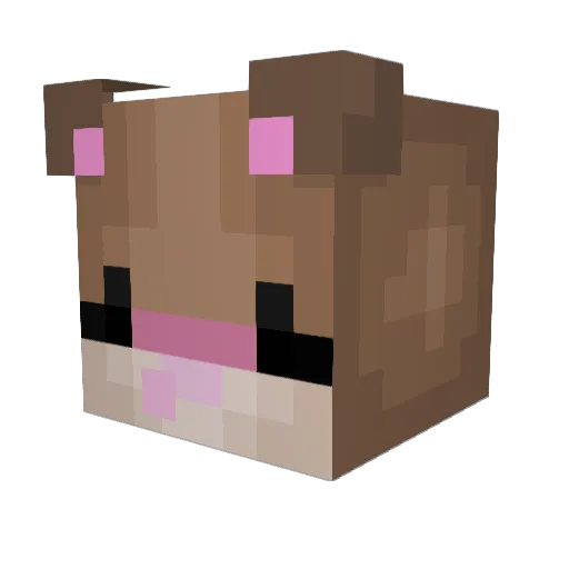 aniy0 Minecraft avatar head, 3D render