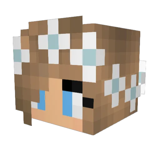 anja2001 Minecraft avatar head, 3D render