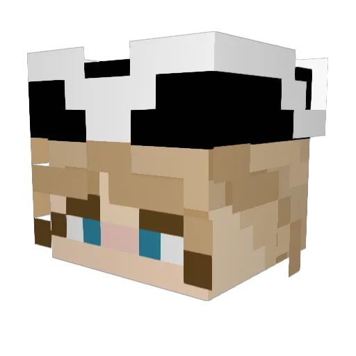 anjee Minecraft avatar head, 3D render