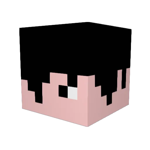 anjikun Minecraft avatar head, 3D render