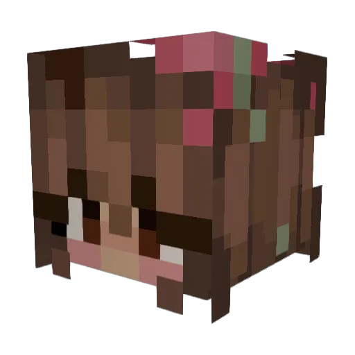 anjjj Minecraft avatar head, 3D render