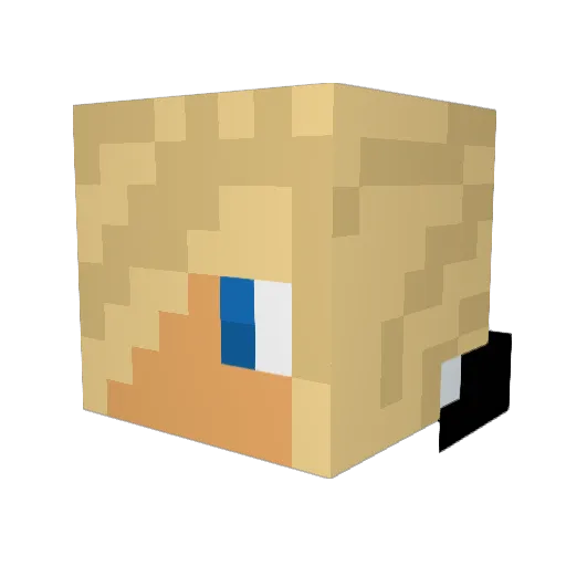 ank12 Minecraft avatar head, 3D render