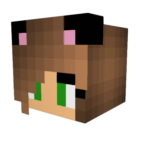 ankan123 Minecraft avatar head, 3D render