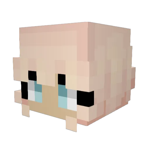 ankanMedKnark Minecraft avatar head, 3D render