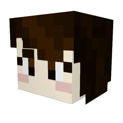 ankayo56 Minecraft avatar head, 3D render