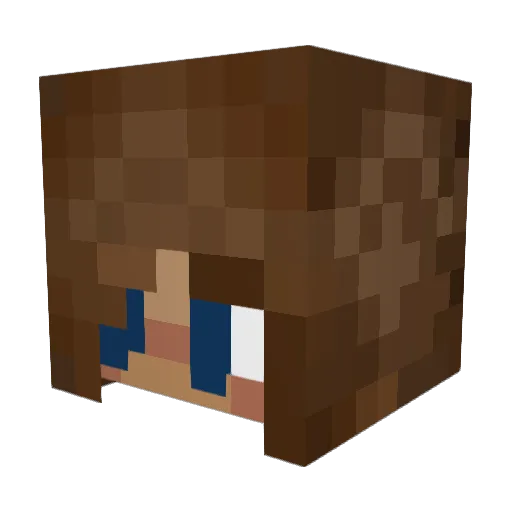ankety_ Minecraft avatar head, 3D render