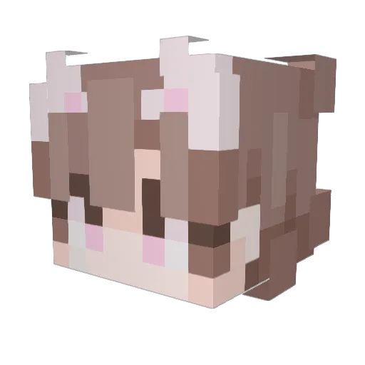 ankkeBOI123 Minecraft avatar head, 3D render