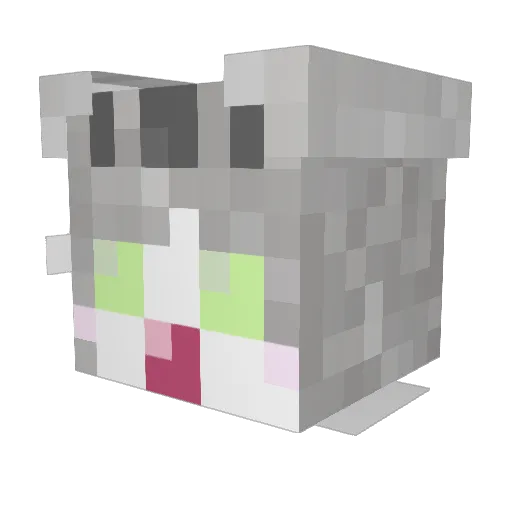 anko713 Minecraft avatar head, 3D render