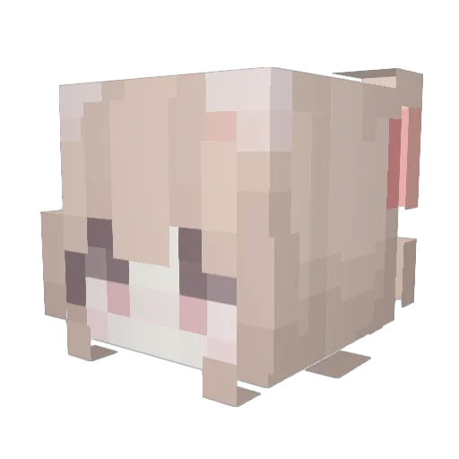 ankobeans Minecraft avatar head, 3D render