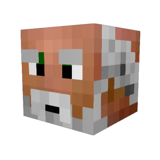 ankoiti Minecraft avatar head, 3D render