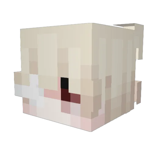 ankoxx Minecraft avatar head, 3D render