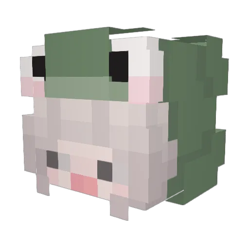 ankpho Minecraft avatar head, 3D render
