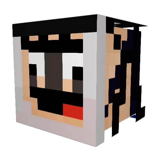 ankviankvi Minecraft avatar head, 3D render