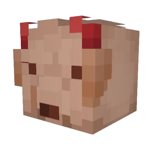 anmlcollective Minecraft avatar head, 3D render