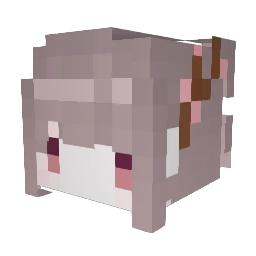 ann0418 Minecraft avatar head, 3D render