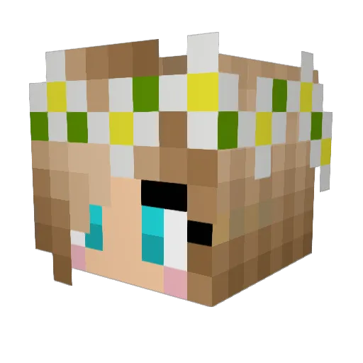 ann05312007 Minecraft avatar head, 3D render
