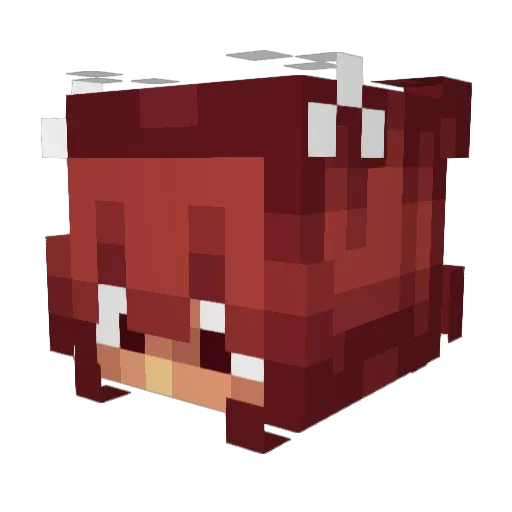 ann1ec0re Minecraft avatar head, 3D render