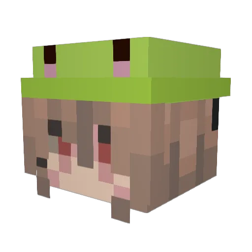 annalse Minecraft avatar head, 3D render