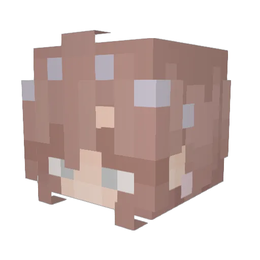 annasneak Minecraft avatar head, 3D render