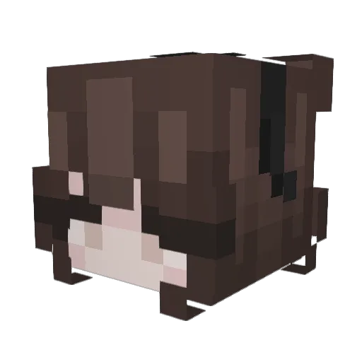 annavamp Minecraft avatar head, 3D render