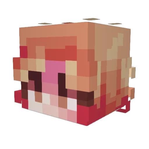 anneabbee Minecraft avatar head, 3D render
