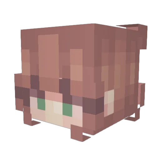 anneleel Minecraft avatar head, 3D render