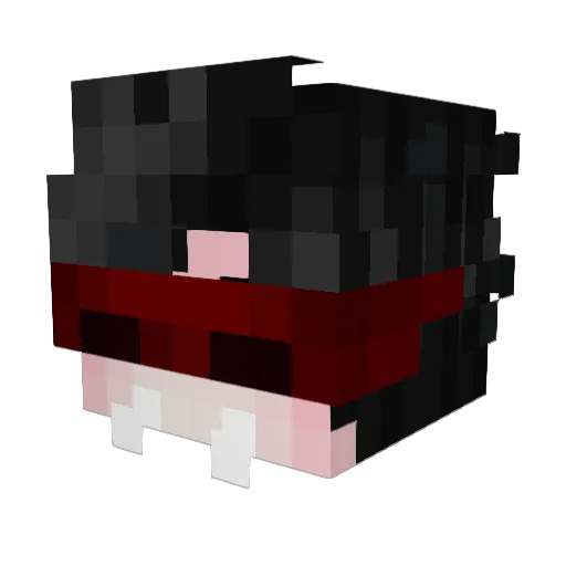 annera35 Minecraft avatar head, 3D render