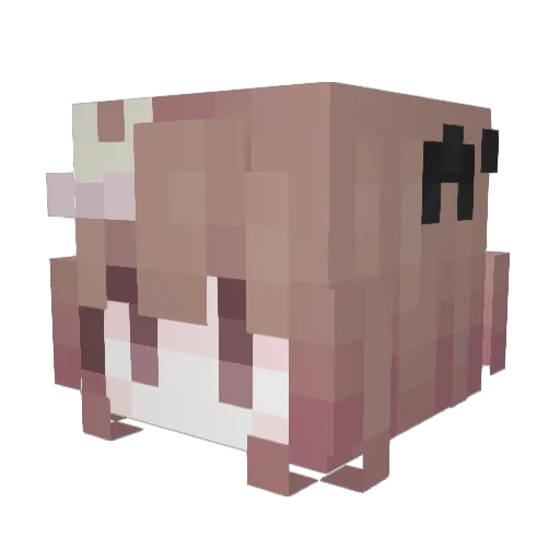 anngelina Minecraft avatar head, 3D render