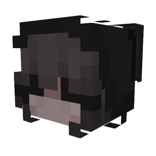 annho222 Minecraft avatar head, 3D render